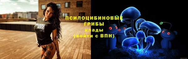 ГАЛЛЮЦИНОГЕННЫЕ ГРИБЫ Майский
