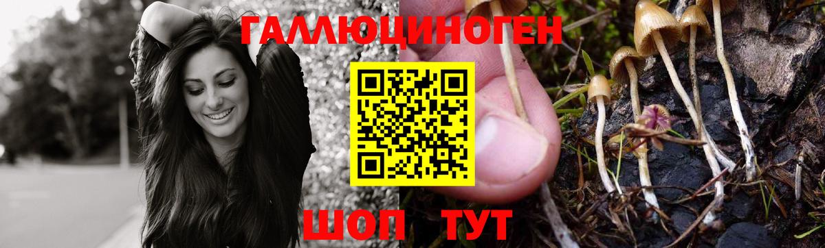 Псилоцибиновые грибы Psilocybine cubensis  Галлюциногенные грибы мухоморы  Вход с VPN  Белая Калитва 